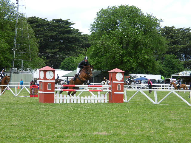 Showjumping